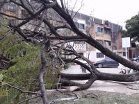 Una persona herida por los fuertes vientos que azotaron la ciudad de Campo Santo 