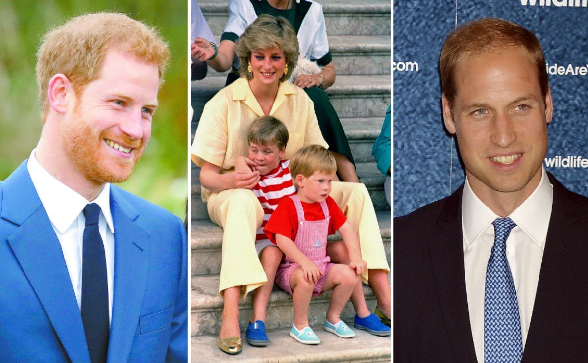 Guillermo y Harry recuerdan la &uacute;ltima llamada con su madre.