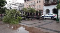 Destrozos en la ciudad: Este fue el resultado de los fuertes vientos y las intensas lluvias