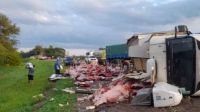 Saqueos en la Ruta 34: un camión chocó y los vecinos se apropiaron de 23.000 Kg de carne