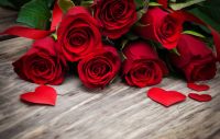 Día de los Enamorados: a un salteño le metieron "los cuernos" cuando fue a visitar a su pareja