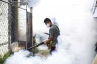 Esta semana se detectaron 45 casos de dengue en Salta     
