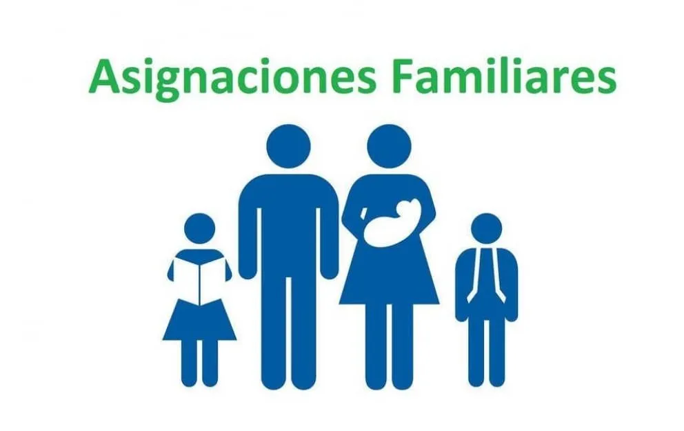 ANSES estableció las nuevas escalas para el SUAF: así quedaron los montos de noviembre