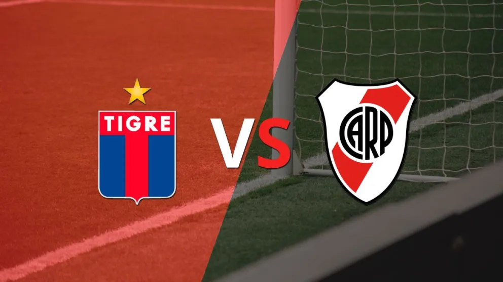 Con lo justo y sin más, River Plate ganó contra Tigre 