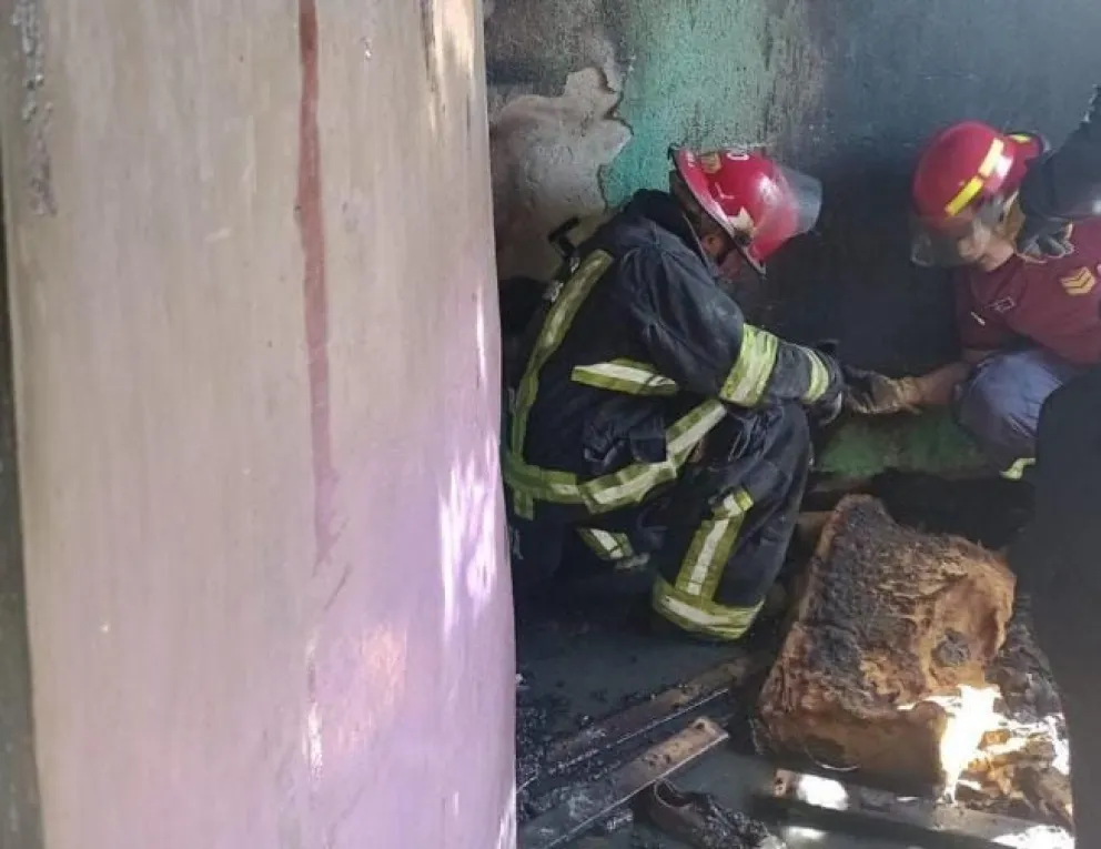 Un gran gesto: bomberos le salvaron la vida a un perrito en medio de un incendio 