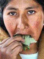 Insólito: mujer norteña falleció atragantada con hojas de coca 