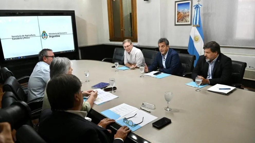 El gobierno nacional anunció un programa de resarcimiento económico por la gripe aviar  