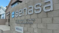 Despidos masivos en Salta: peligran 140 puestos de trabajo en Senasa y convocaron a un paro general 