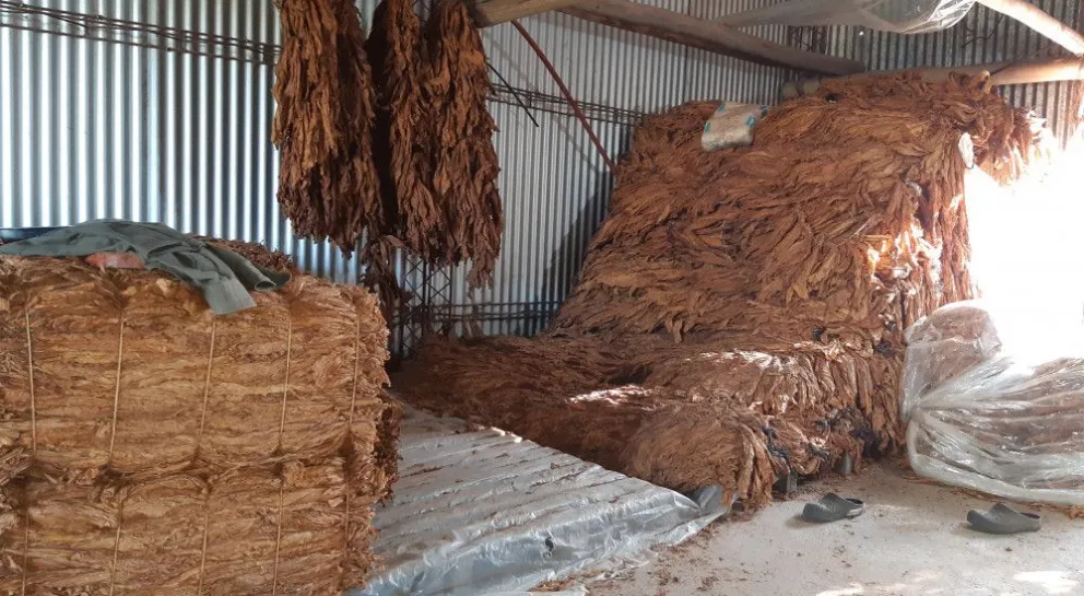 Un camión fue incautado por la AFIP en Tucumán: transportaba tabaco de manera ilegal 