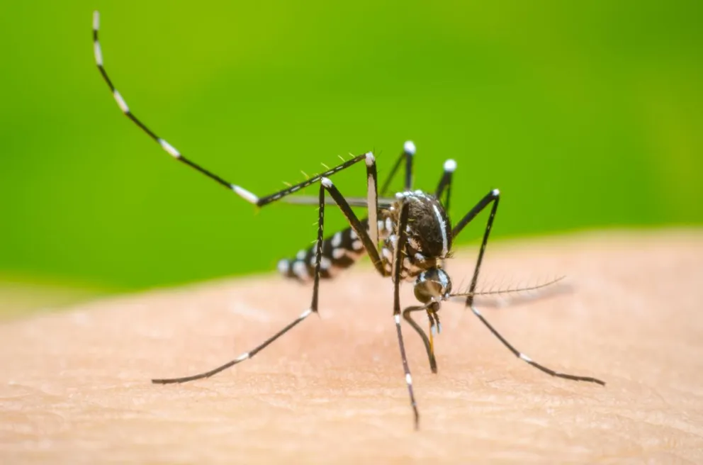Preocupación en Tartagal por los casos de dengue: declaran el brote epidemiológico