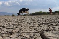 La sequía no da tregua: el pedido del campo salteño para que se declare la emergencia nacional