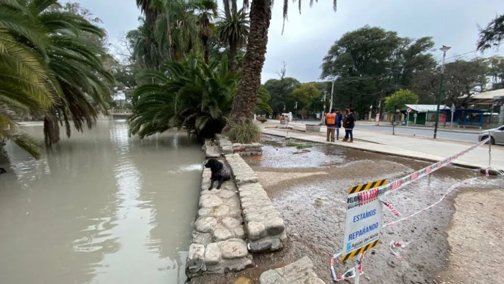 Vecinos denunciaron contaminación en el Parque San Martín, pero esto fue lo que encontraron
