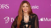 Shakira causó furor en Instagram: este es el inesperado y llamativo desafío que planteó a sus seguidores