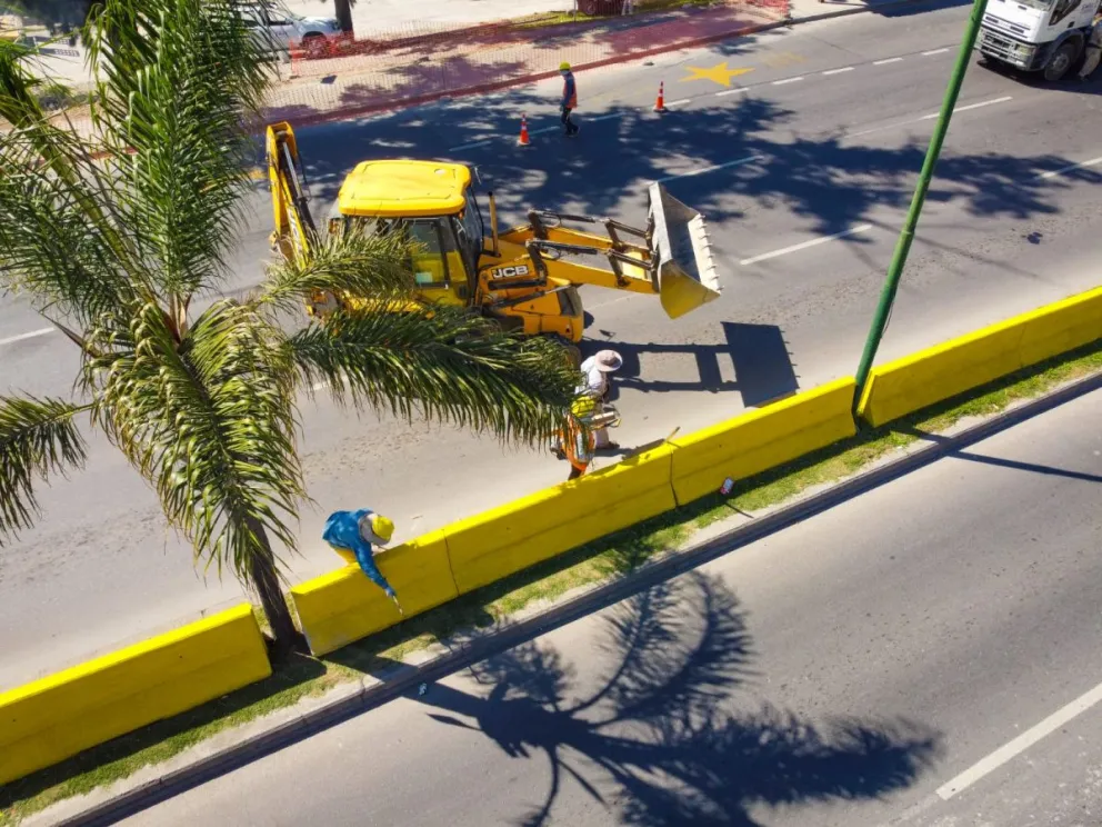 La Municipalidad ya tiene una fecha en la que se terminará de colocar los separados viales en Av. Paraguay