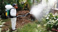Brote de dengue en Salta: con 700 casos, mantienen cerradas las fronteras en Bermejo y Aguas Blancas     