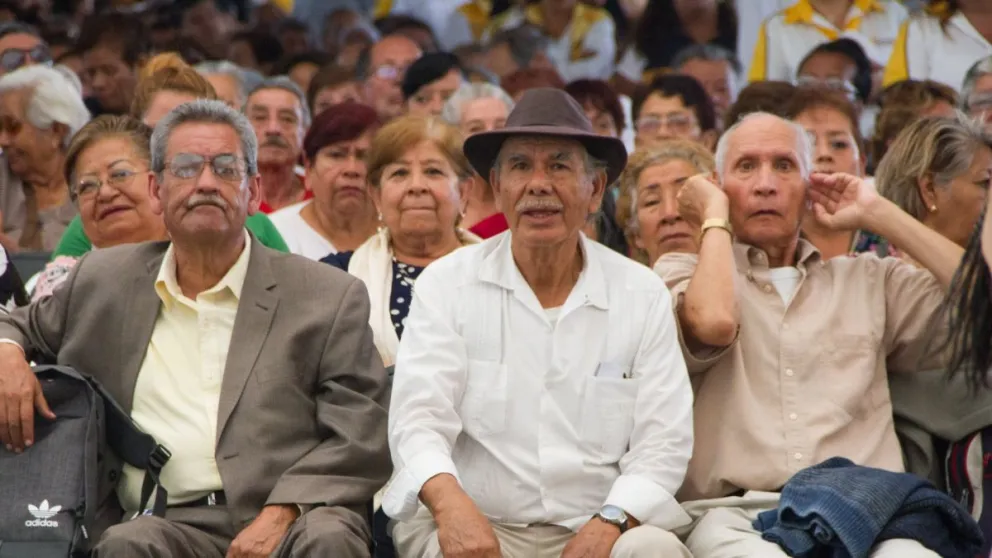 ANSES: así serán las diferentes cuotas y los años que te descontarán de la Moratoria Previsional