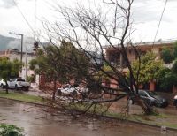 Daños post tormenta en Salta: cuatro familias resultaron damnificadas 