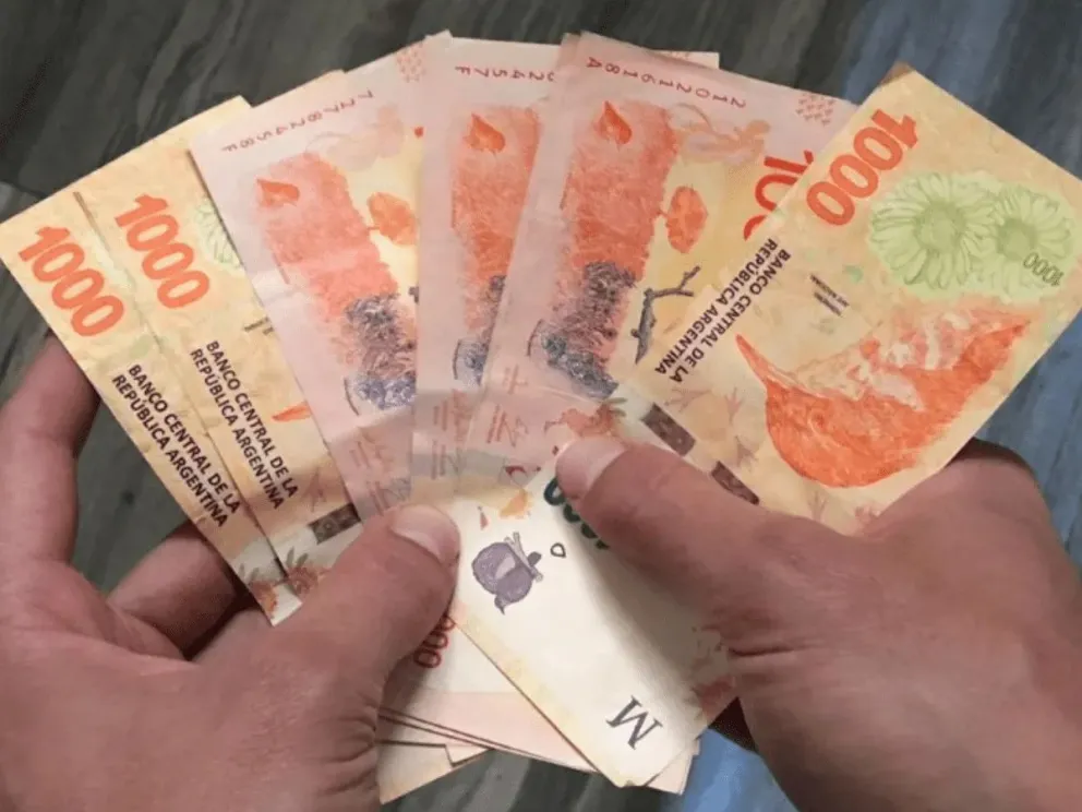 Atención desempleados: estos son los pasos a seguir para solicitar en ANSES una ayuda de $32.000 mensuales