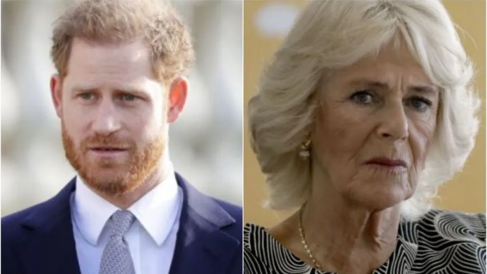 Camila Parker no pudo con Harry y ahora apunta contra un ser querido de él