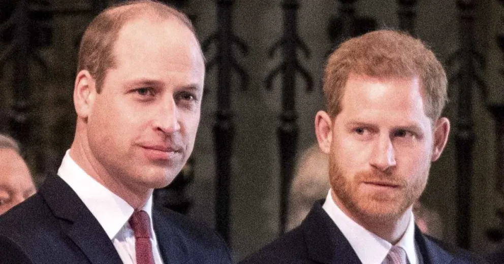 No fue por el libro: revelan la verdadera y sorpresiva causa de la separación de los príncipes Guillermo y Harry