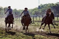 Carreras de caballos en Pichanal: graves incidentes y varias personas heridas 
