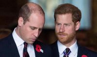 Preocupación en la corona británica: apocalíptica y fatídica predicción sobre los príncipes Harry y Guillermo