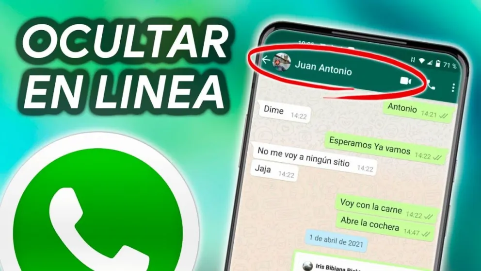 Descubrí el truco de WhastApp para que no se vea que estás en línea o escribiendo