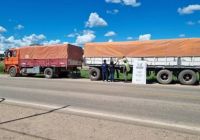 Ruta 34: Gendarmería descubrió seis camiones que transportaban granos de manera ilegal 