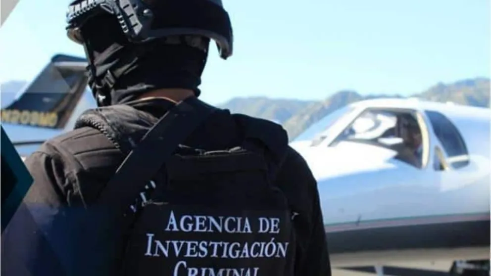TikTok es utilizada por traficantes de México para promocionar ingresos ilegales a EEUU