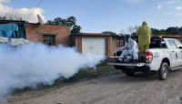 Brote de dengue en Orán: extienden la atención en la carpa sanitaria y suman habitaciones de internación    