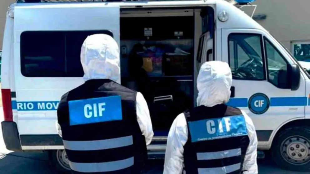 Tras el terrible femicidio, continúan internados los hijos de Rosa Aranda 