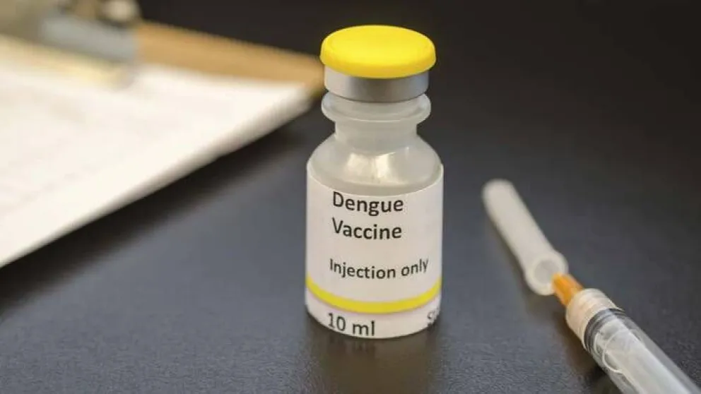 La Anmat analiza utilizar una vacuna japonesa para combatir el dengue