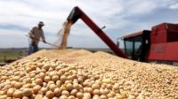 Argentina tendrá que comprar 9,5 millones de toneladas de soja para cubrir las perdidas
