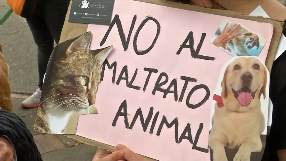 No tienen perdón: dos graves casos de maltrato animal sacudieron a la provincia