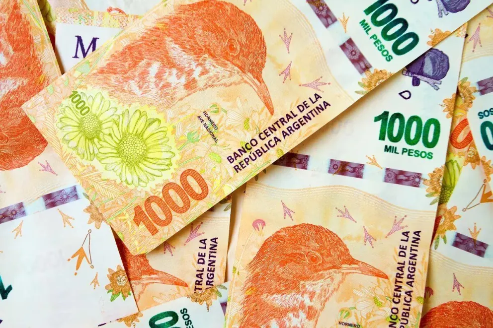 Atención mujeres: el programa que entrega $67.743 ya tiene fechas de cobro, mirá cuándo cobrás