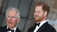 Según un experto, la relación del príncipe Harry y el rey Carlos III depende de un hilo: estos son los motivos