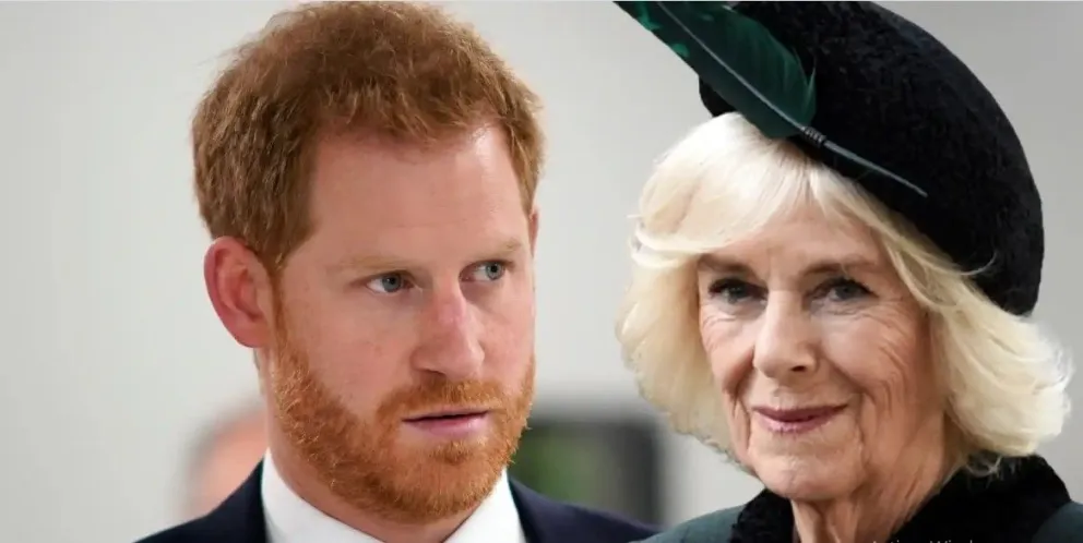 Así recuerda el príncipe Harry la vez que alertó al rey Carlos III sobre el macabro plan de Camila Parker