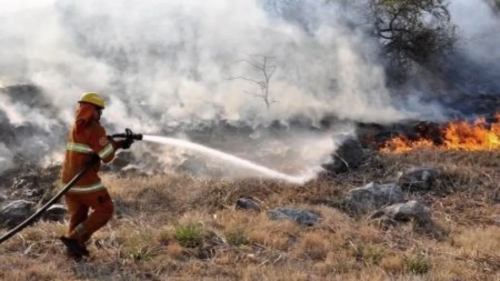 La Secretaría de Ambiente confirmó nuevas medidas preventivas contra los incendios forestales   