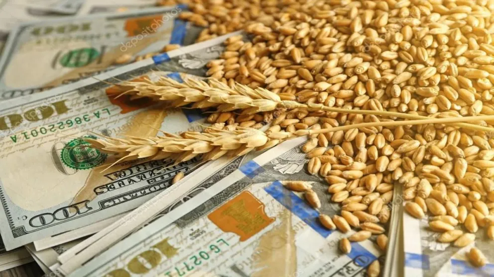 Es oficial: el Gobierno Nacional presentó el dólar agro y se fijó a un valor diferencial de $300 pesos