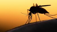 El Ministerio de Salud negó que la muerte de la adolescente haya sido por dengue