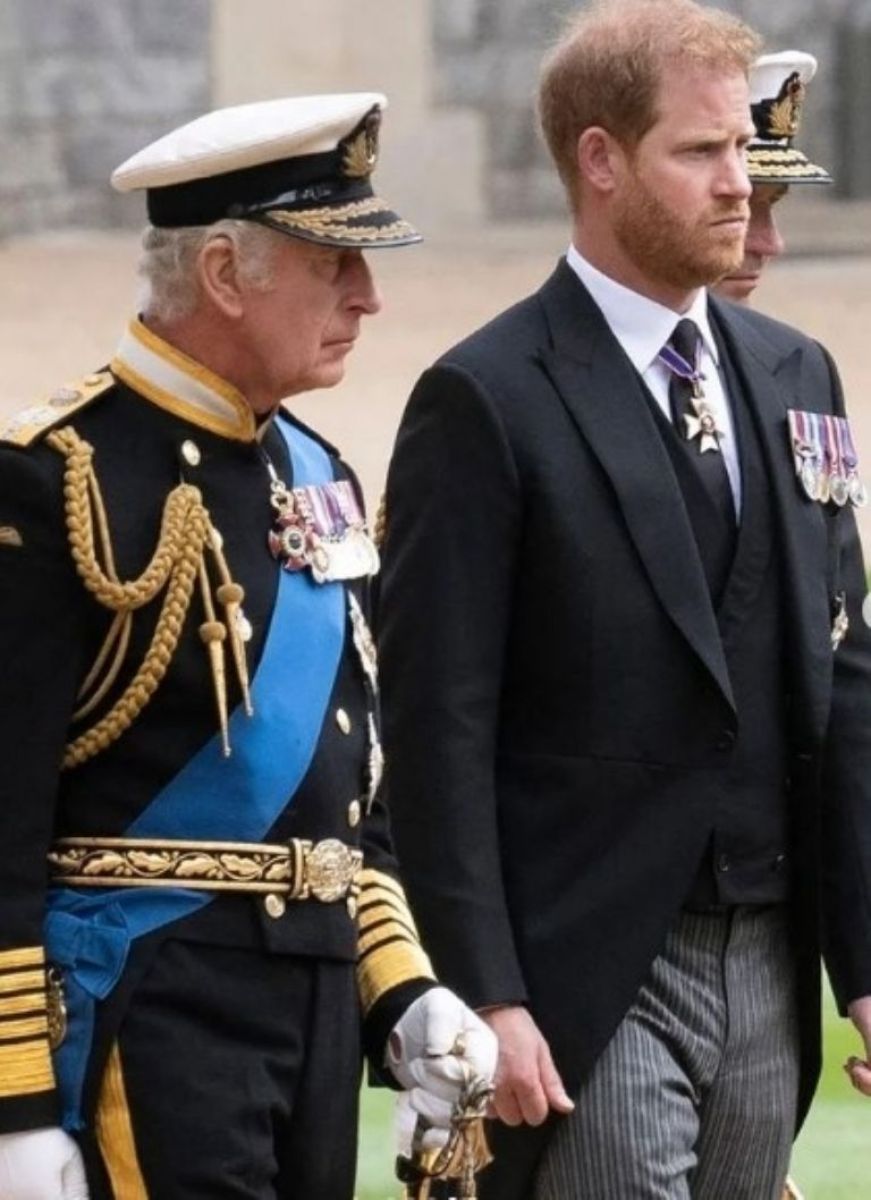 pr&iacute;ncipe harry y carlos iii