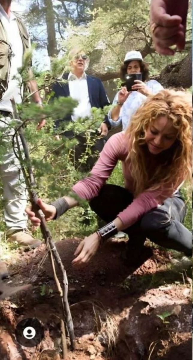 Shakira plantó su árbol.