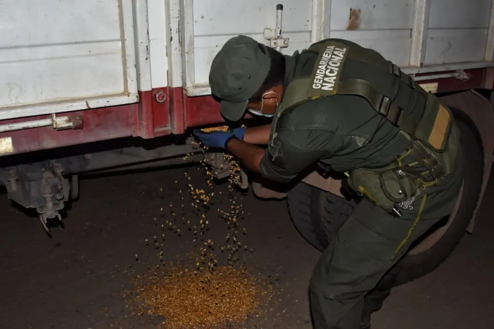 Impresionante operativo reveló un contrabando millonario de mercadería