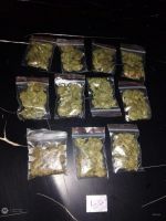 Detuvieron a un joven que llevaba once paquetes con marihuana en Salta