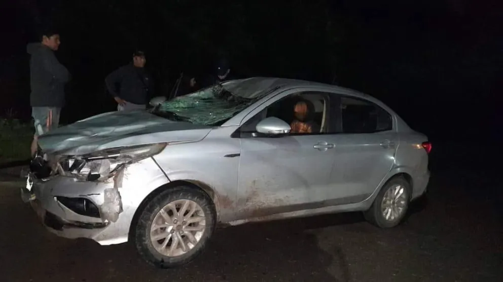 Una persona mayor murió luego de chocar un taxi con un caballo