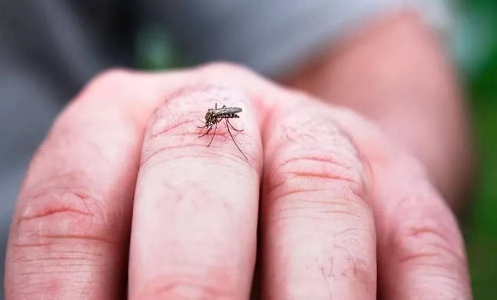 Una adolescente de 16 años murió por dengue en Salta