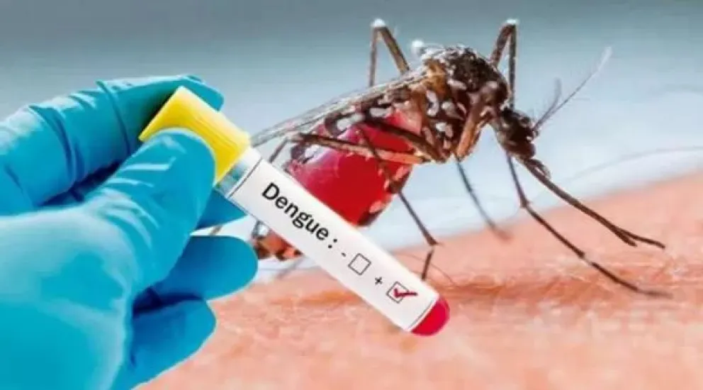 Dengue: informaron 425 casos en la última semana, conocé cuáles son los departamentos afectados
