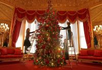 Feng Shui: este es el mejor lugar para colocar el árbol de Navidad para atraer energía, prosperidad y fortuna