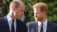 Alerta en la corona británica: predicción revela como continuará la relación entre el príncipe Harry y Guillermo
