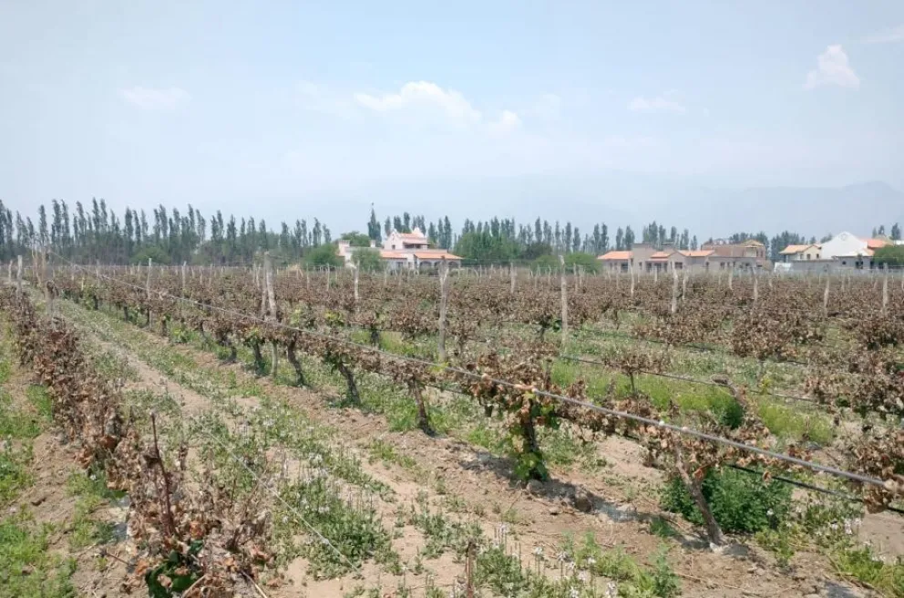 Gobierno de Salta Cachi